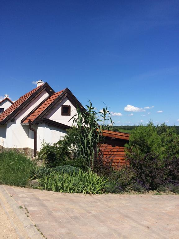 Voeroesmal Vendeghaz Apartment Balatonfured Bagian luar foto